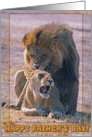 Father’s day greeting card, Lions card