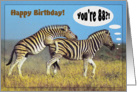 Happy 88th birthday greeting card, Zebras card