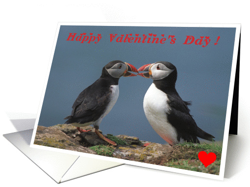 Happy Valentine's Day, Kissing Puffins card (850775)