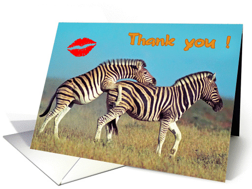 Thank you card, two funny zebras card (855088)