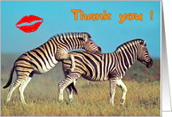 Thank you card, two funny zebras card