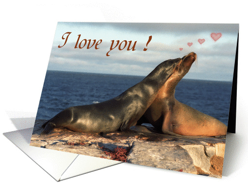 I love you card, two fur seals card (855089)