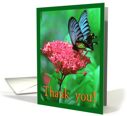 Thank you card (860465)