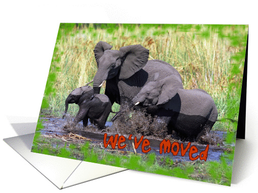 We've Moved Elephants card (860472)