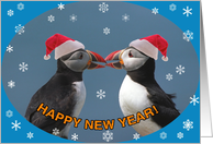 Happy New Year, Two pufiins Santa hats card