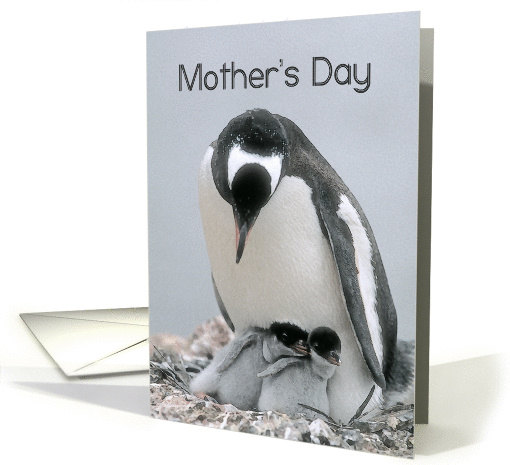 Mother's Day Mom, Mother Penguin with Two Chicks card (868762)
