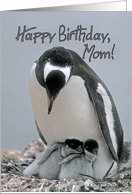 Happy Birthday Mom, Mother Penguin with Two Chicks card