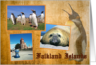Falkland Islands card