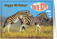 Happy birthday card,Two zebras card