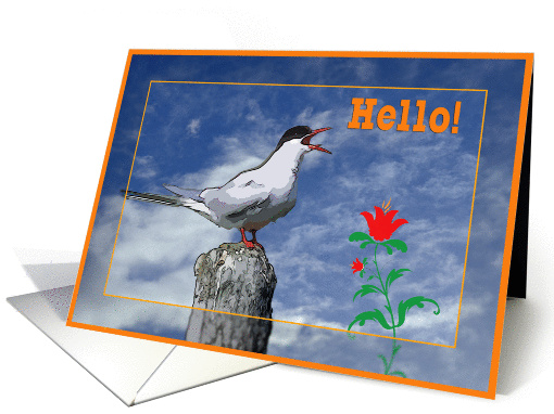 Hello,Seagull morning song, card (870753)