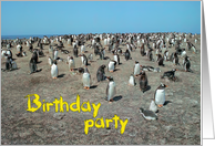 Birthday party card, Colony gentoo penguins with chicks card