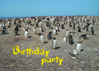 Birthday party card,...