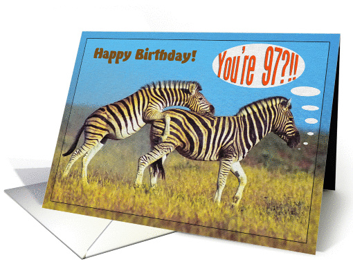 Happy 97th Birthday card,Two playing zebras card (870830)