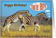 Happy 99th Birthday card,Two playing zebras card