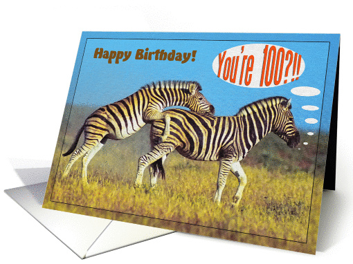 Happy 100th Birthday card,Two playing zebras card (870835)