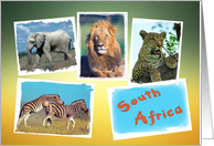 South Africa collage...