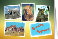 South Africa collage card