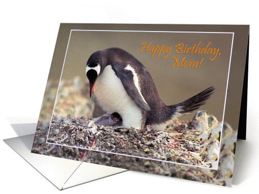 Happy birthday, Mom card, Penguin with chick card (873327)