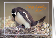 Happy birthday, Mom card, Penguin with chick card