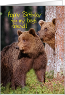 Happy Birthday to my best friend card, Two brown bear in forest card