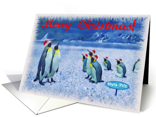 Merry Christmas card, Antarctic colony penguins with red... (874968)
