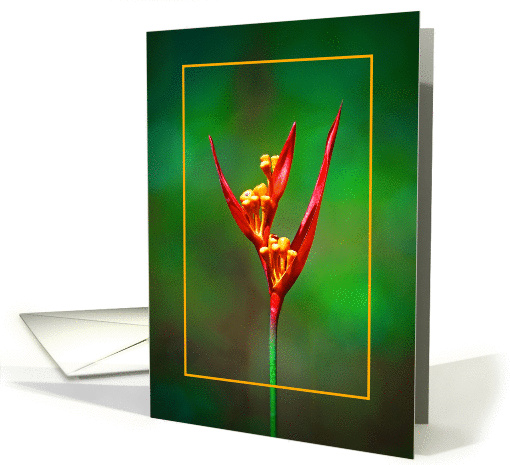 Happy birthday, Parakeet jungle flower card (875165)