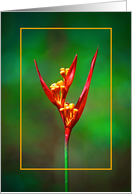 Happy birthday, Parakeet jungle flower card