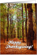 Happy Thanksgiving card, autumn in forest card