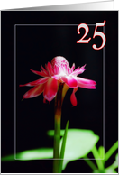 Happy 25th birthday card, orchid flower card