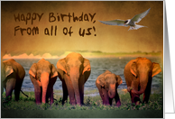 Happy birthday card, wildlife card