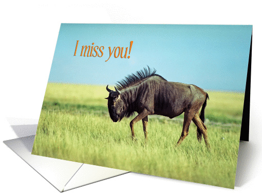 I miss you card, Antelope card (876557)