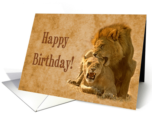 Happy Birthday ,Stud, Male and Female Lions card (876614)