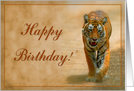 Happy Birthday card, Tiger card