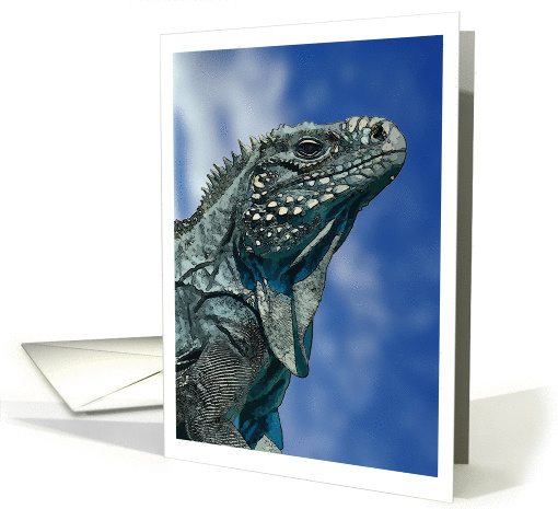 Iguana cartoon portrait card (877077)
