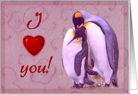 I love you card, two penguins in love card