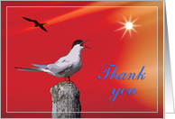 Thank you card, bird in sunrise card