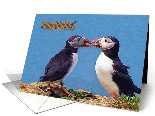 Congratulations greeting card, two funny puffins card (887592)