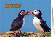 Congratulations greeting card, two funny puffins card