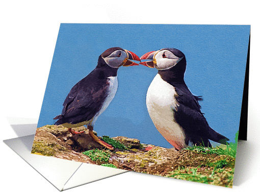 Two funny puffins card (887593)
