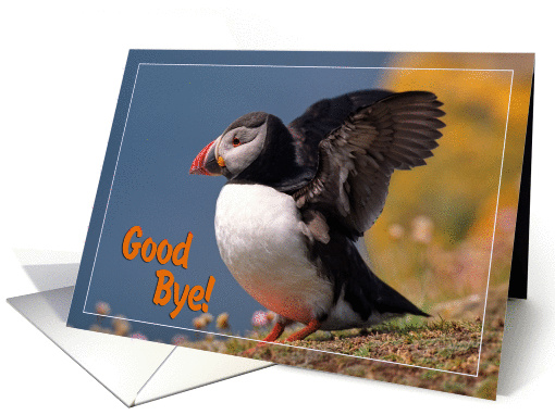 Good bye greeting card, puffin going to fly card (887594)