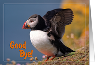 Good bye greeting card, puffin going to fly card