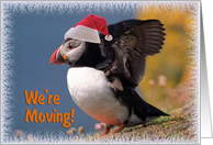 We are moving Christmas greeting card, puffin with Santa red hat going to fly card