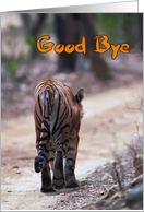 Good bye greeting card, Tiger card