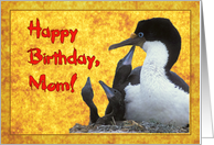 Happy birthday mom greeting card, bird with three chicks card