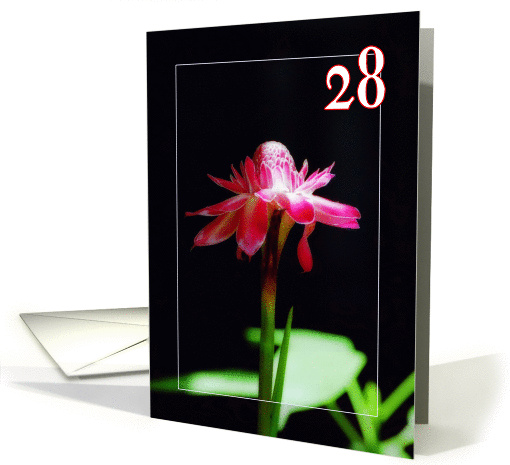 Happy 28th birthday greeting card, tropical orchid flower card