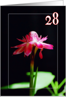 Happy 28th birthday greeting card, tropical orchid flower card