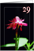 Happy 29th birthday greeting card, tropical orchid flower card