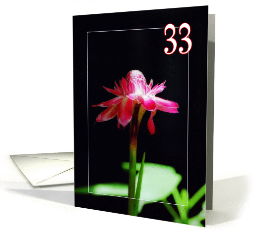Happy 33rd birthday greeting card, tropical orchid flower card