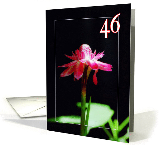 Happy 46th birthday greeting card, tropical orchid flower card