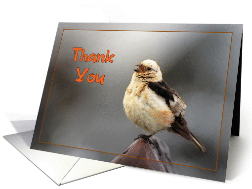 Thank you greeting card,bird spring song card (889106)